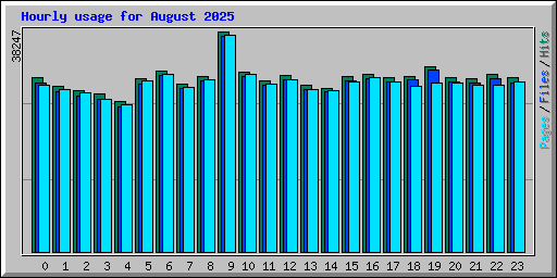 Hourly usage for August 2025