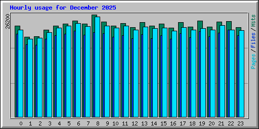 Hourly usage for December 2025
